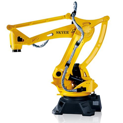 SKY-ER120